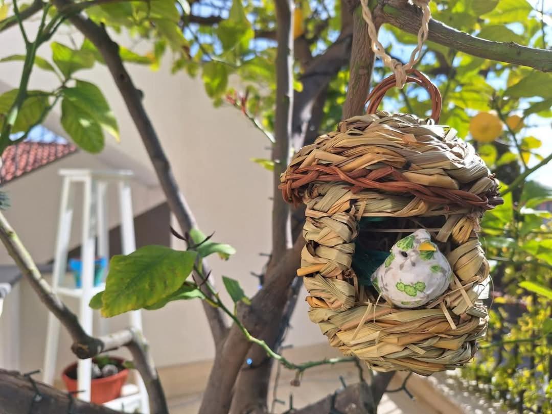 Ferienwohnung La Pigna Dell'Etna Nicolosi Exterior foto